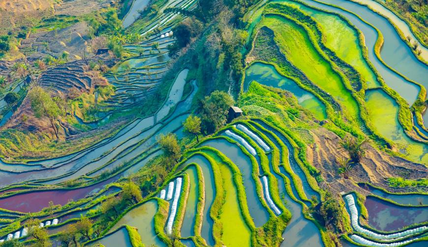 宝妈必备神器：长寿区产品视频拍摄轻松育儿好帮手